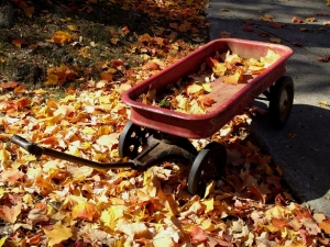 Winterize your homes: Fall is the perfect time to prep your home for the cold weather ahead (Photo by Ned Horton/Free Images). 